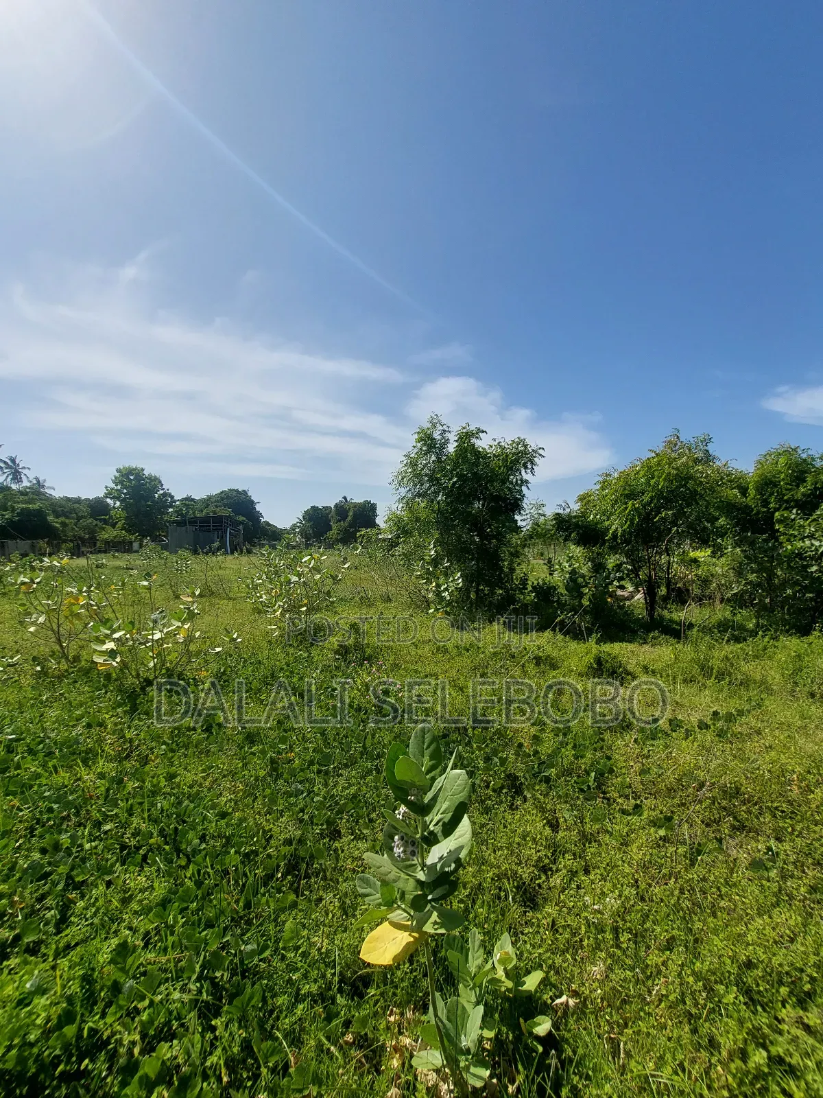 Plot Sale 1hecta at Bagamoyo Chemchem Mjini
