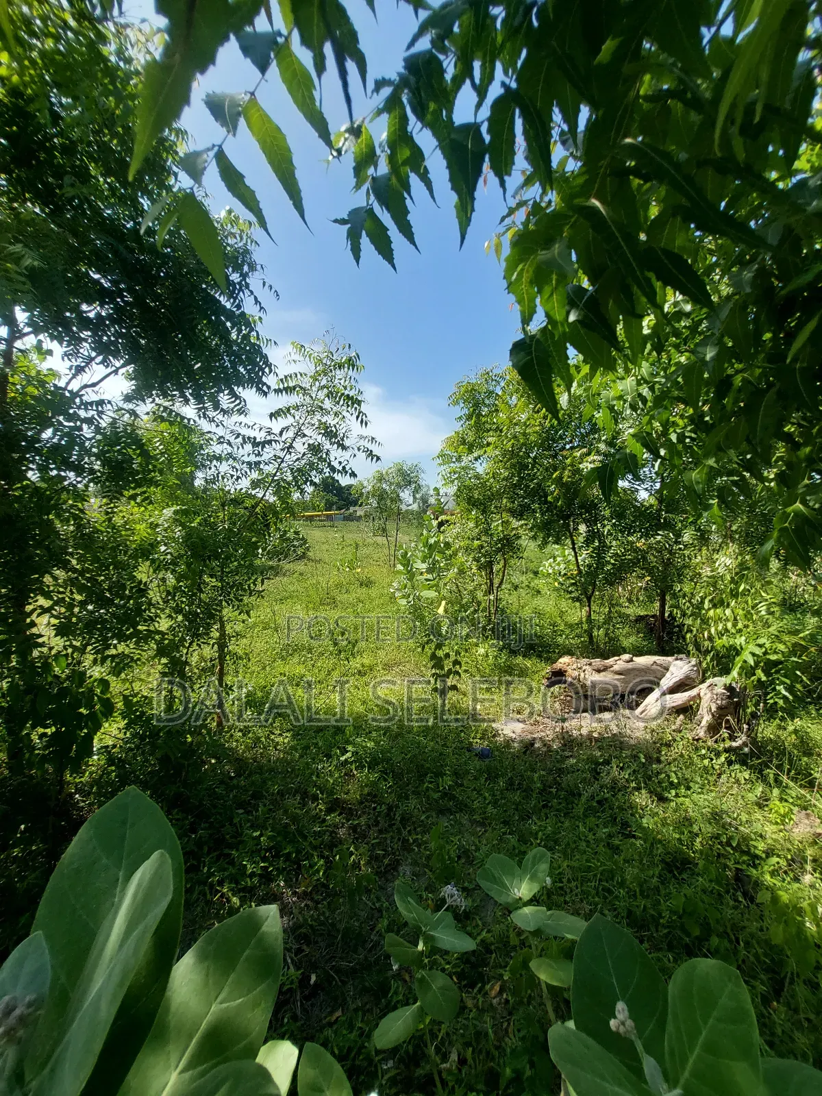 Plot Sale 1hecta at Bagamoyo Chemchem Mjini