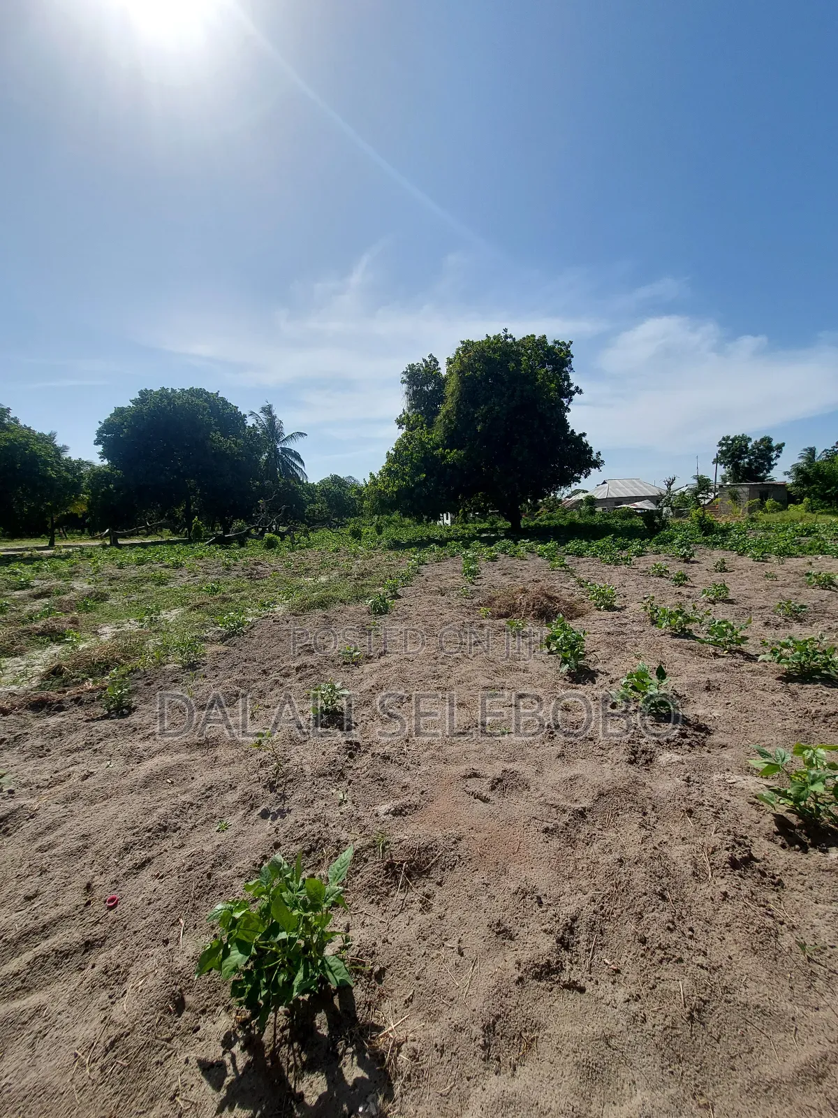 Plot Sale 1hecta at Bagamoyo Chemchem Mjini
