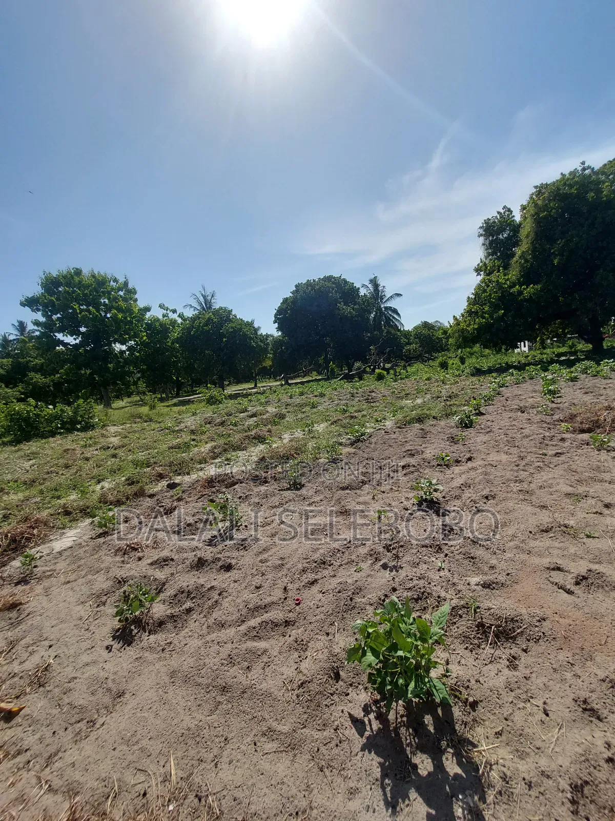Plot Sale 1hecta at Bagamoyo Chemchem Mjini