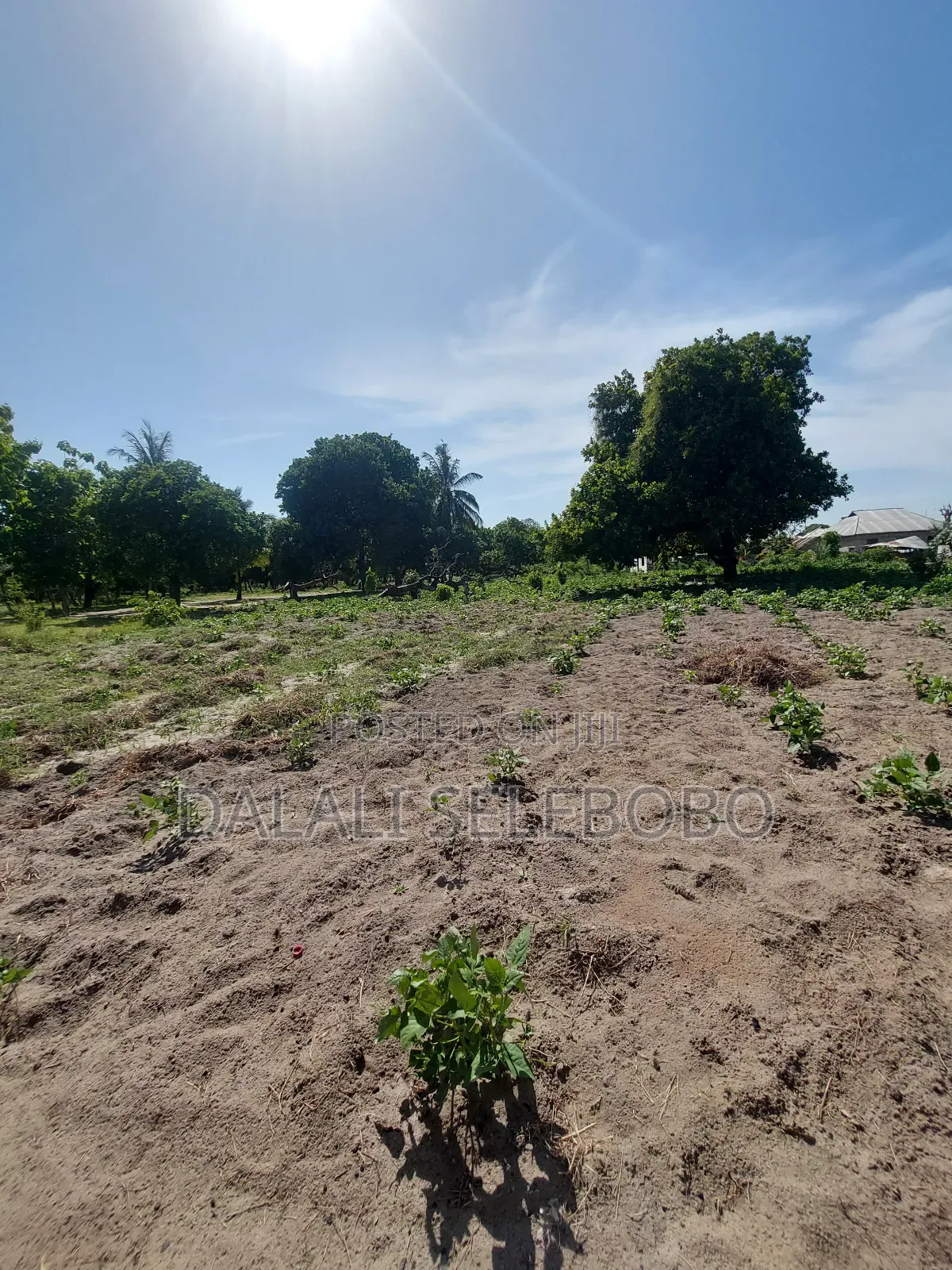 Plot Sale 1hecta at Bagamoyo Chemchem Mjini