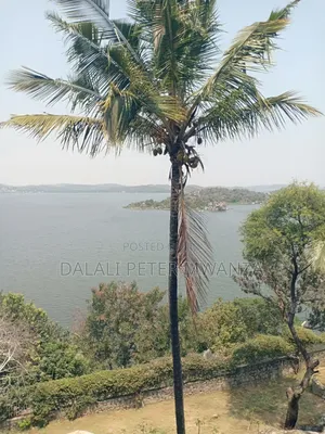 Capripoint Beach