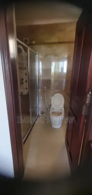 Furnished 3bdrm Apartment in Kariakoo for rent