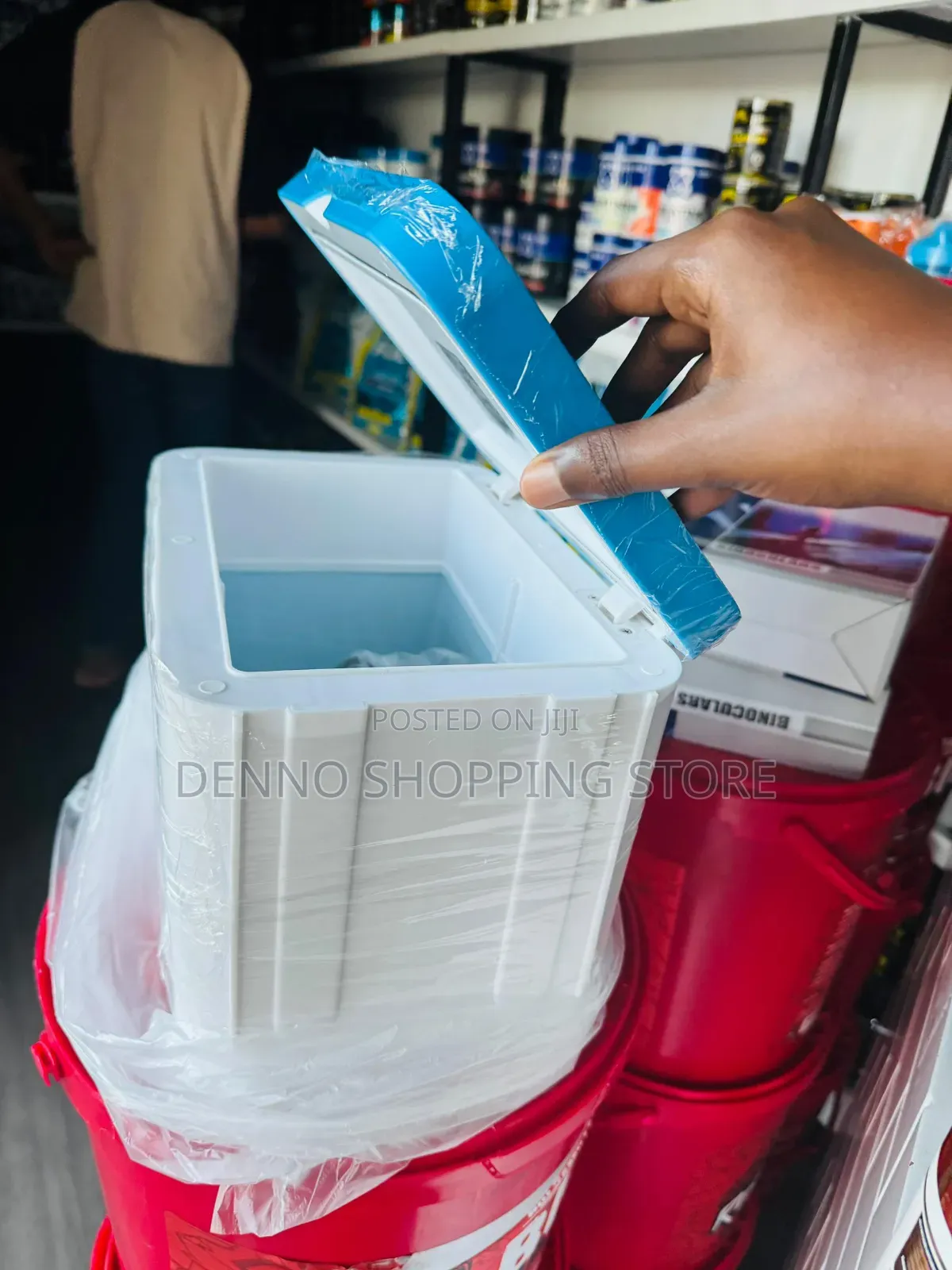 Car Fridge 8l (Blue and White)