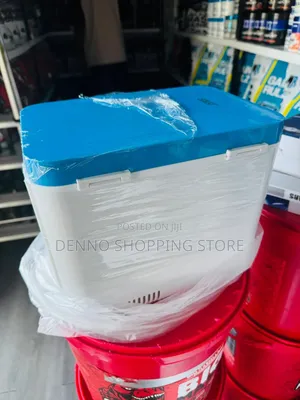 Car Fridge 8l (Blue and White)