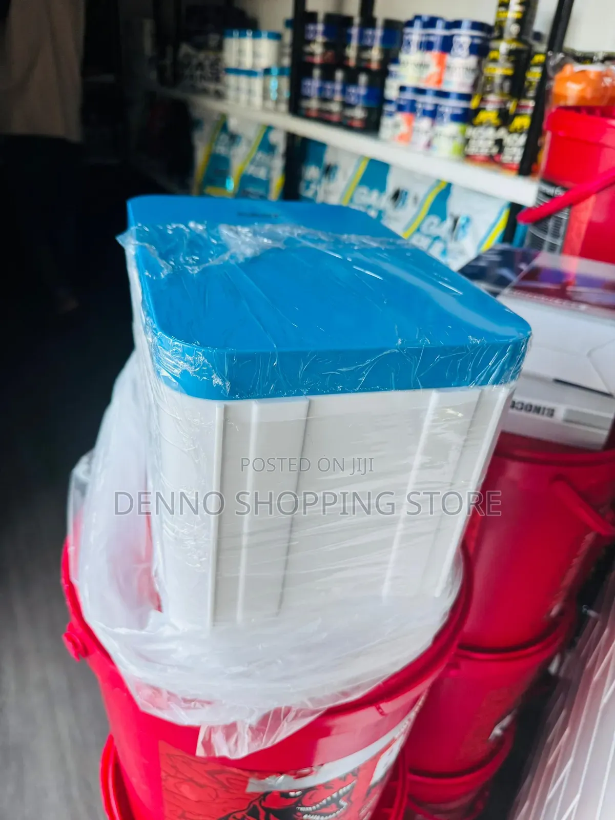 Car Fridge 8l (Blue and White)