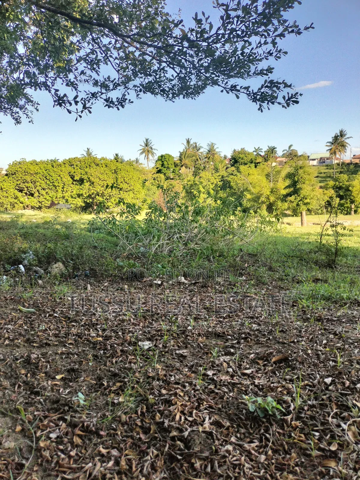 Plot for Sale at Salasala