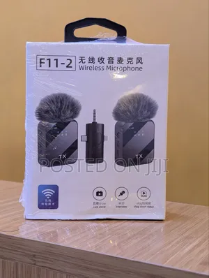 Wireless Microphone F11