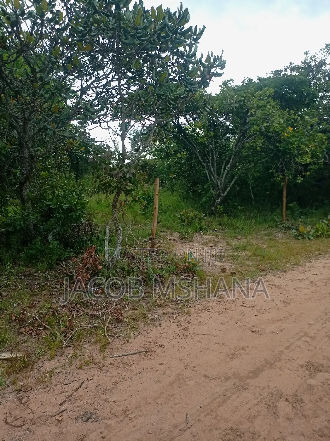 Shamba Linauzwa Ekari 2100