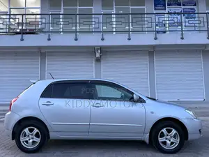 Toyota Allex 2004 Silver