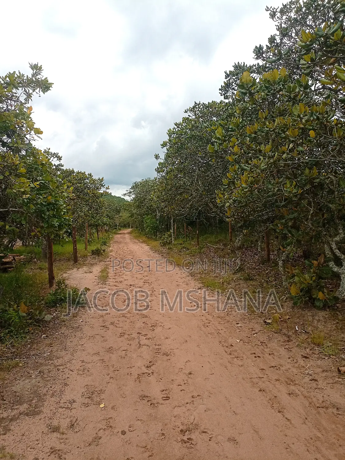 Shamba Linauzwa Ekari 1200
