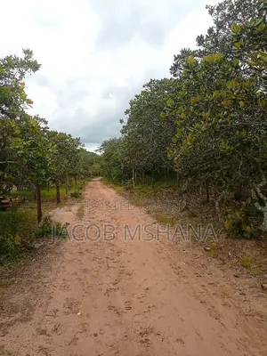 Shamba Linauzwa Ekari 1200