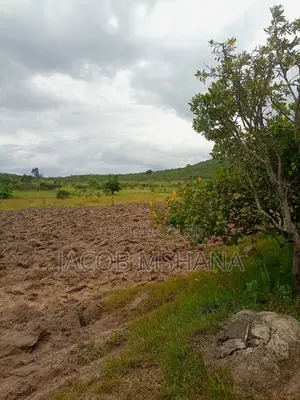 Shamba Linauzwa Ekari 1200