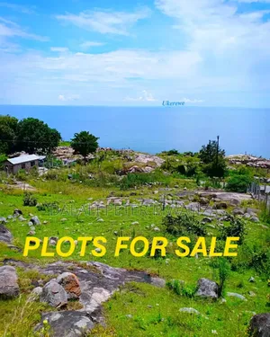 Near Airport Mwanza