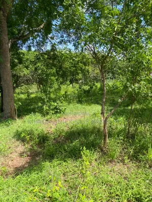 Plot for Sale at Mbezi Msumi