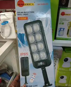 100w Solar Induction Wall Light