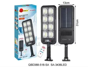 100w Solar Induction Wall Light