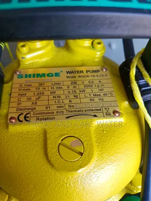 Shimge Sawege Pump 1hp With Float Switch