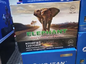 N70 Elephant Battery