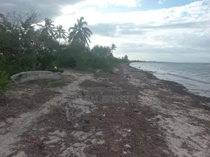 Beach Plot for Sale Kilwa Masoko