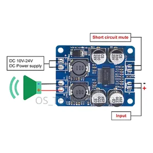 Original Mono Amplifier 60W.Input 12V -24v Mziki Mnene