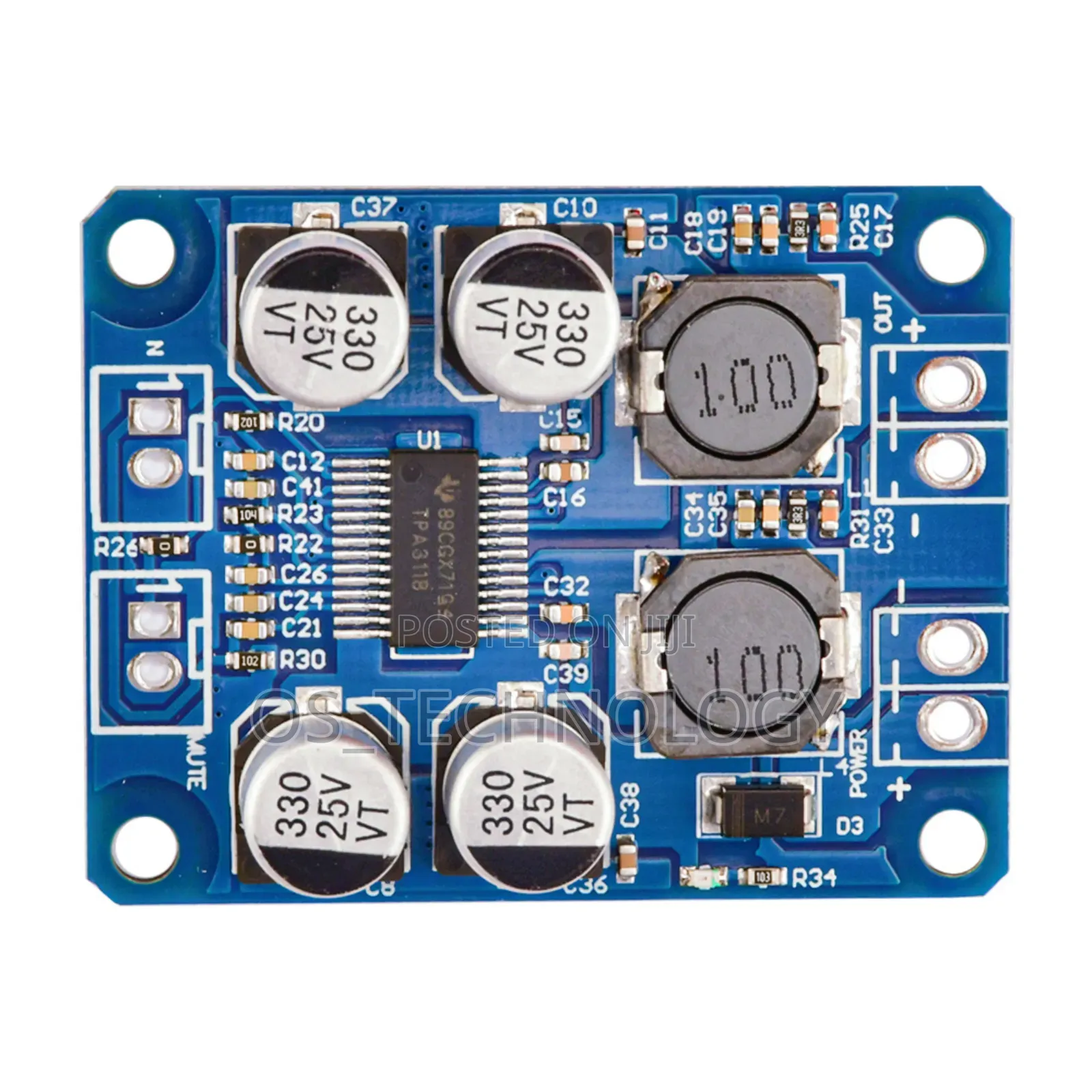 Original Mono Amplifier 60W.Input 12V -24v Mziki Mnene