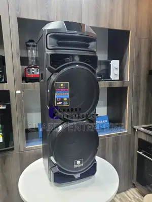 RICH SOUND 12"X 2 Active Professional Stage Speaker 100W