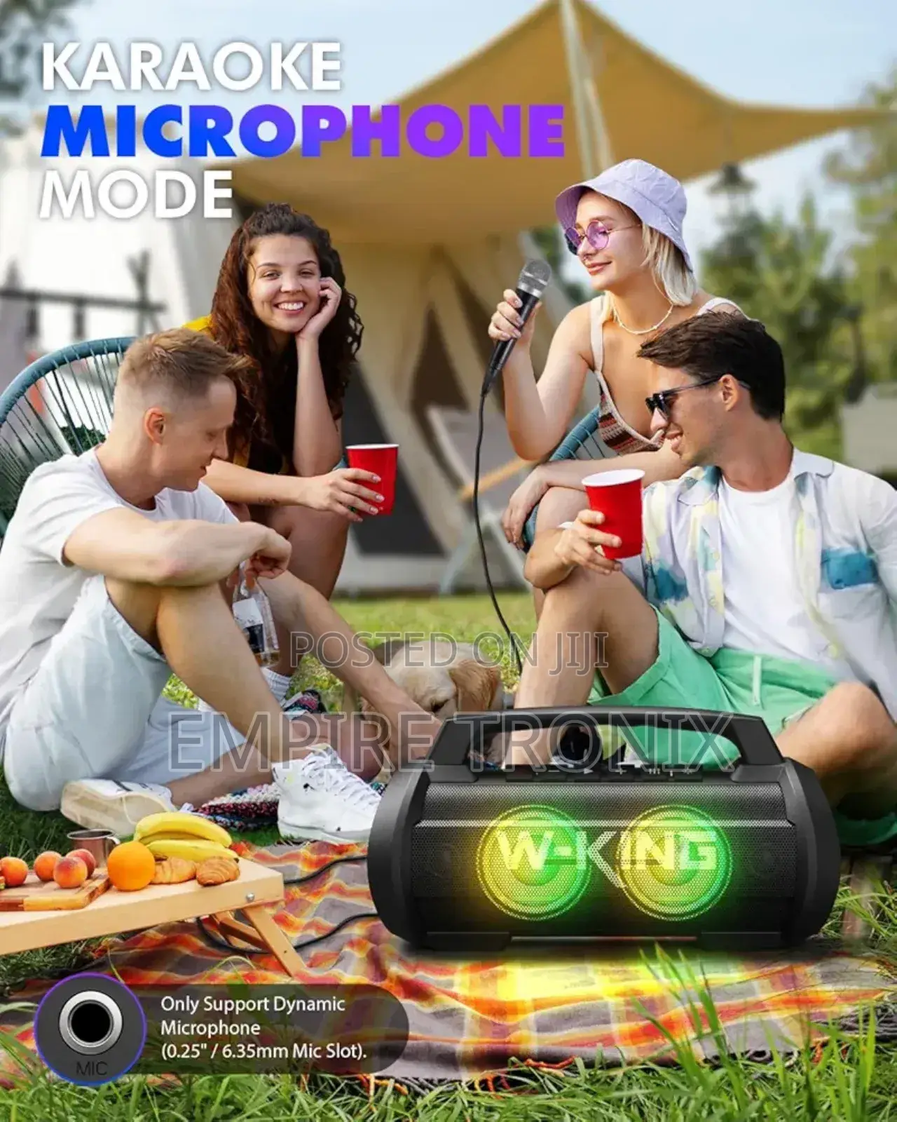 W-King D10 Powerful 70W Party Bluetooth Speaker