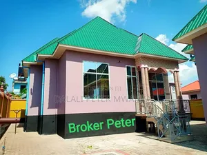 2bdrm House in Nyasaka Center, Ilemela for rent