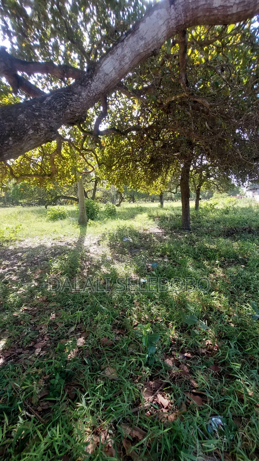 2hecta Industry Plot at Mbez Beach Jogoo