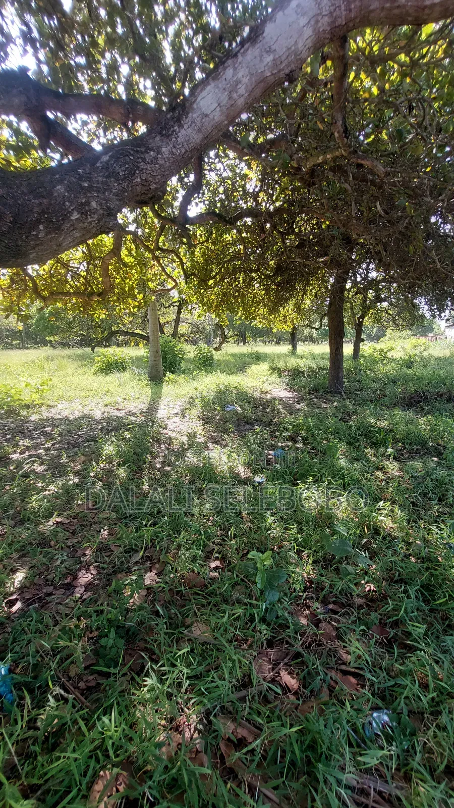 2hecta Industry Plot at Mbez Beach Jogoo