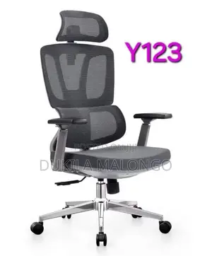 Ofice Chair