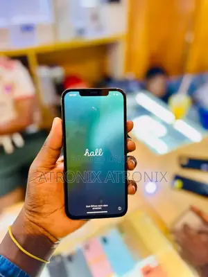 Apple iPhone 11 Pro Max 256 GB Black