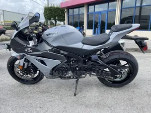 Suzuki GSX 2024 Gray