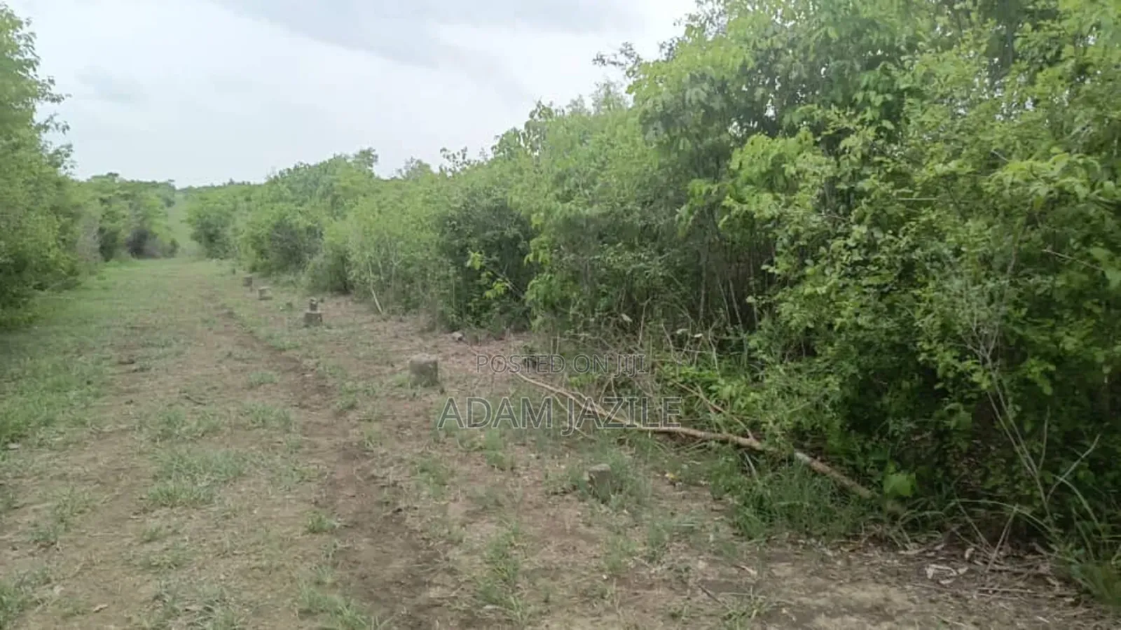 Shamba LA Ekari 1000 Bagamoyo