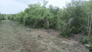 Shamba LA Ekari 1000 Bagamoyo