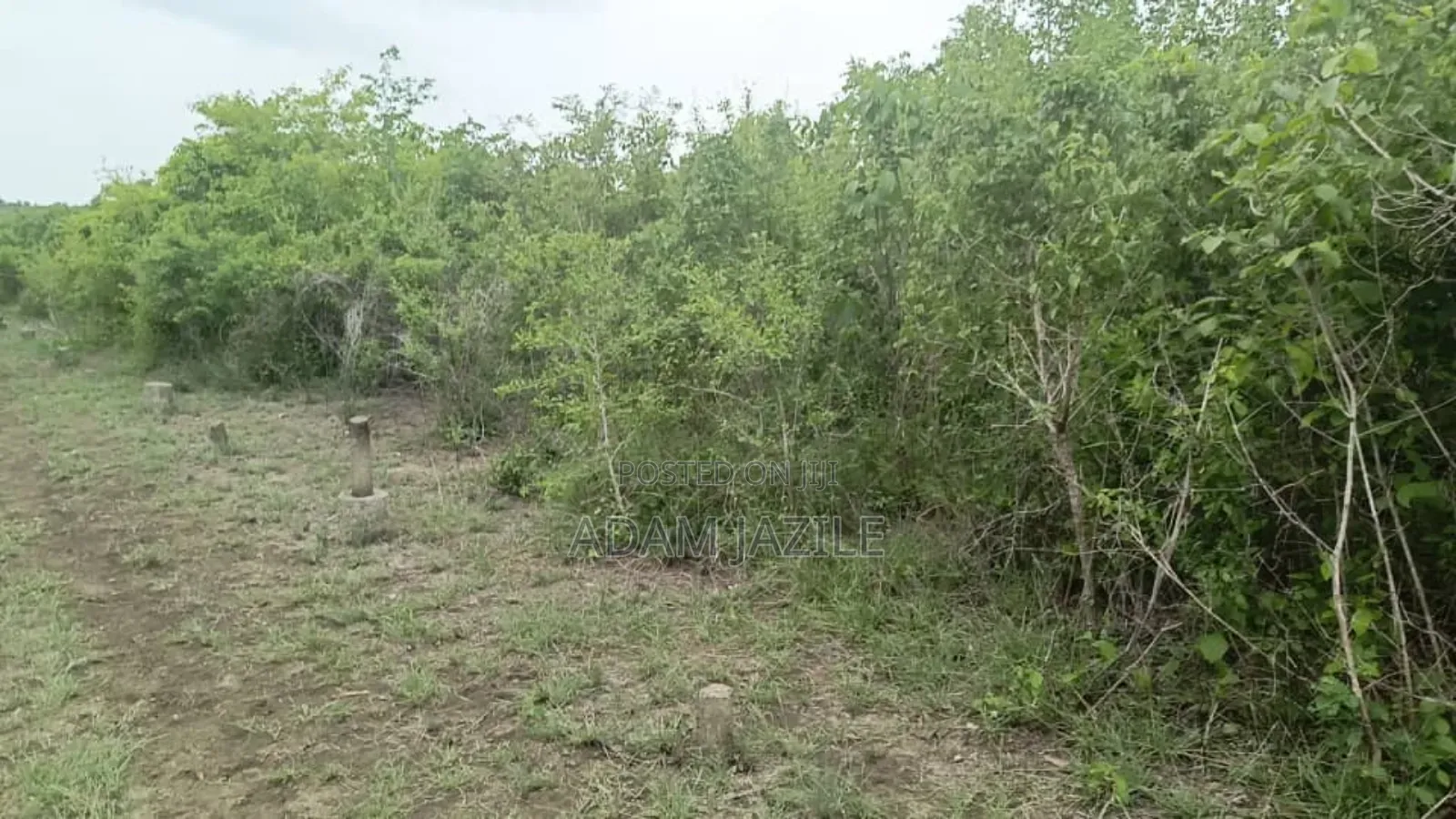 Shamba LA Ekari 1000 Bagamoyo