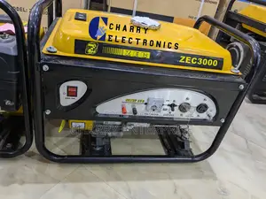 Original Zec Powerful Gasoline Generator 3.1kw Avr Automatic