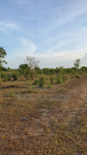Shamba Ekari 100 Linauzwa Kiwangwa Bagamoyo