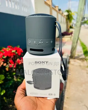 Sony SRS-XB100