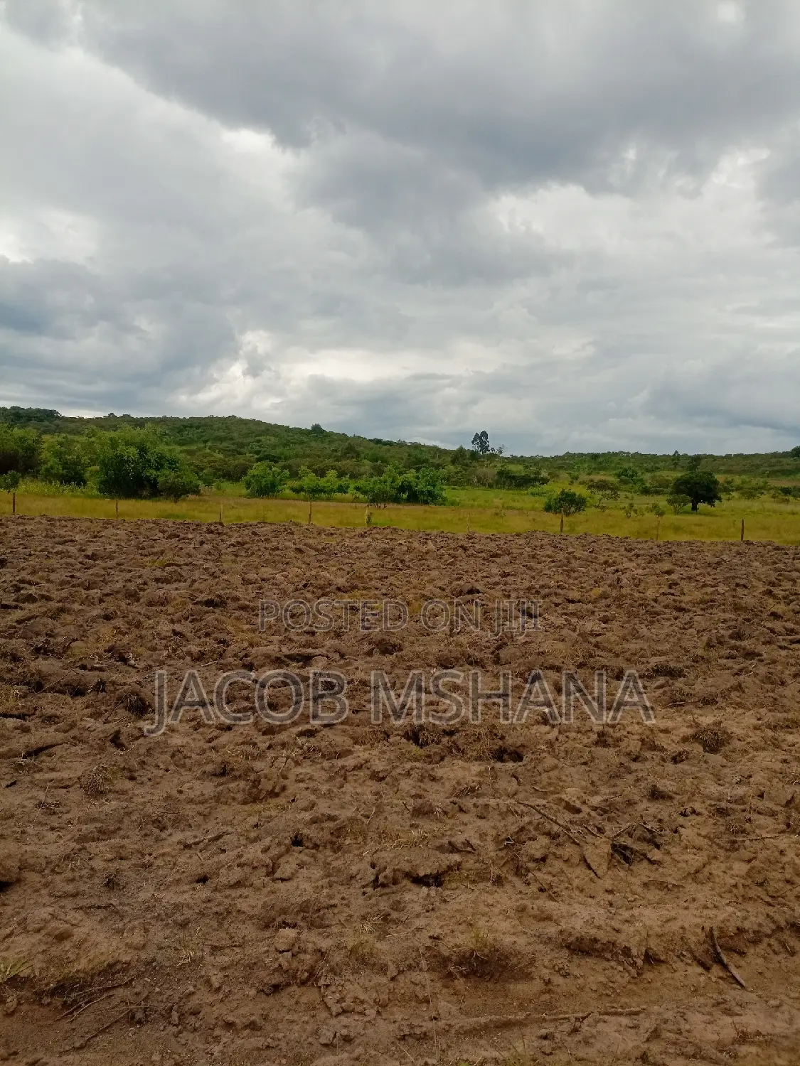 Shamba Linauzwa Ekari 100