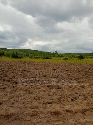 Shamba Linauzwa Ekari 100