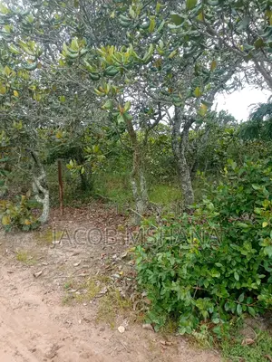 Shamba Linauzwa Ekari 100