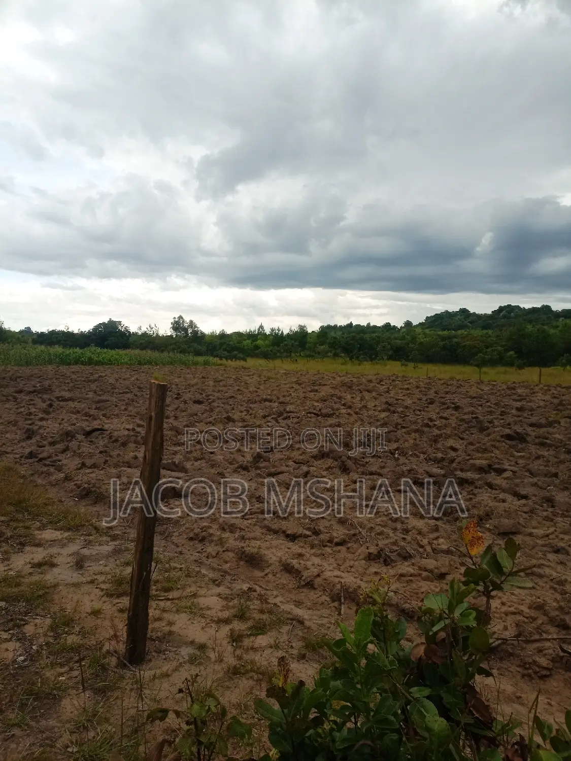 Shamba Linauzwa Ekari 100