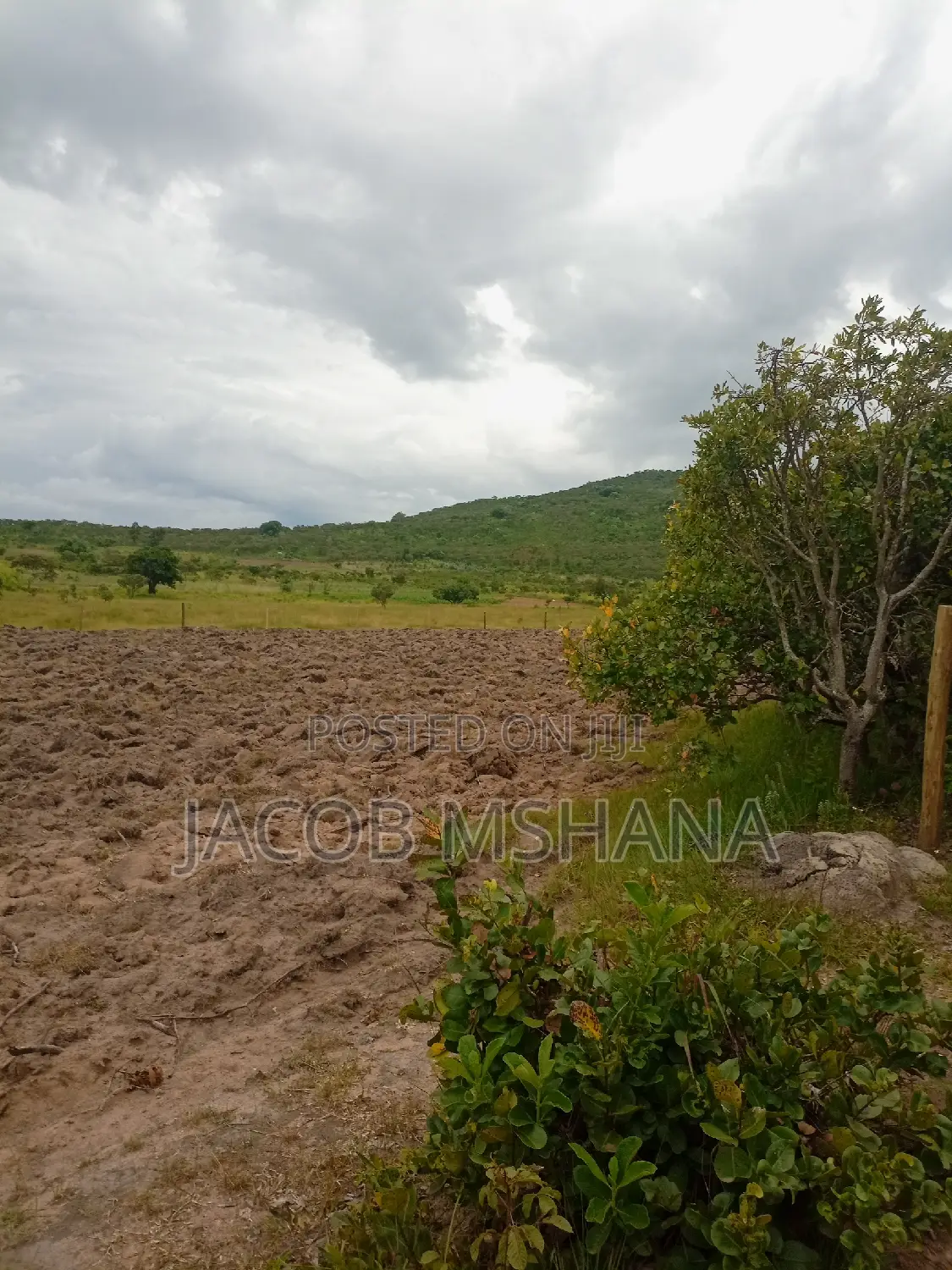 Shamba Linauzwa Ekari 100