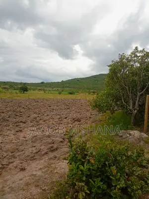 Shamba Linauzwa Ekari 100