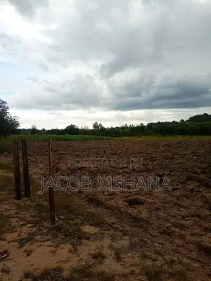 Shamba Linauzwa Ekari 100