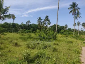 Beach Plots Ekari 7 Inauzwa Bagamoyo