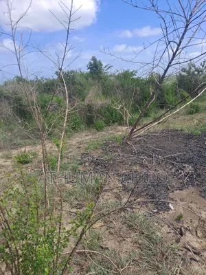 Shamba Linauzwa Kiwangwa Hekari 70