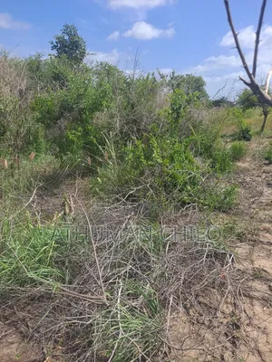 Shamba Linauzwa Kiwangwa Hekari 70
